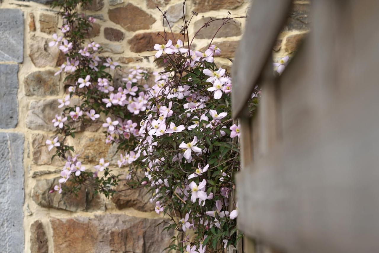 Gite Du Jardin Theux Buitenkant foto